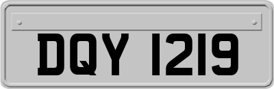 DQY1219