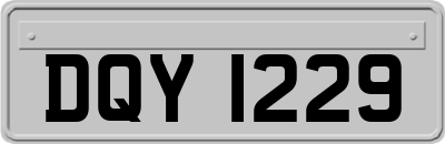 DQY1229