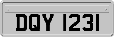 DQY1231