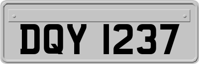 DQY1237