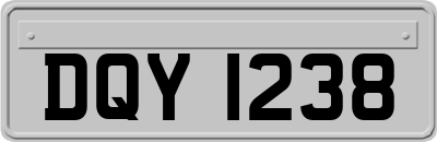 DQY1238