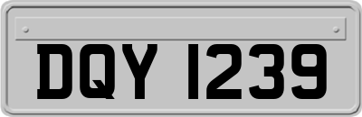 DQY1239