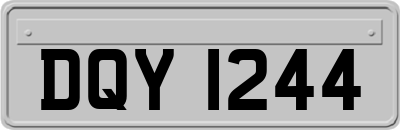 DQY1244