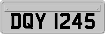 DQY1245