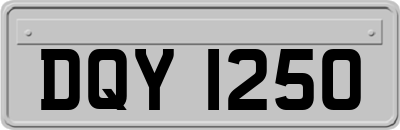 DQY1250