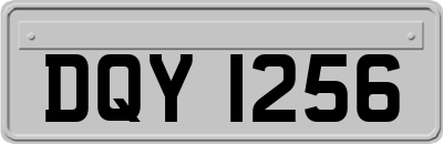 DQY1256