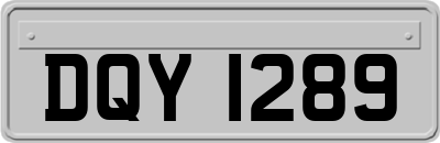 DQY1289