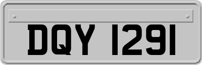 DQY1291