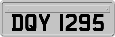 DQY1295