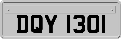 DQY1301