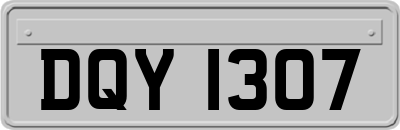 DQY1307