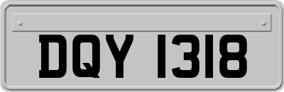 DQY1318