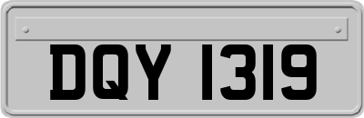 DQY1319