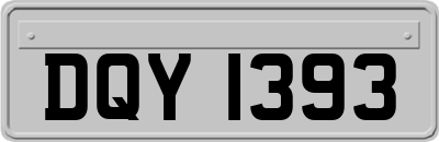 DQY1393