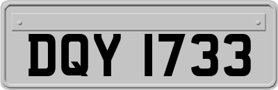 DQY1733