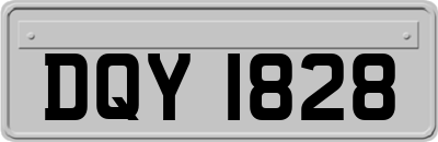 DQY1828