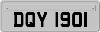 DQY1901