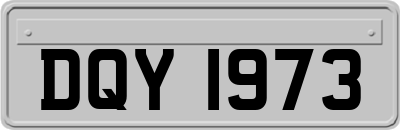 DQY1973