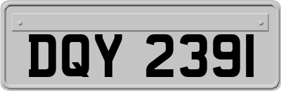 DQY2391