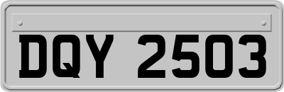 DQY2503