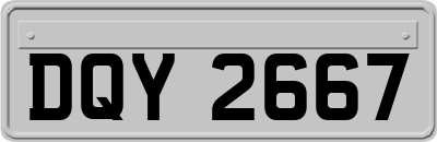 DQY2667