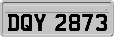 DQY2873