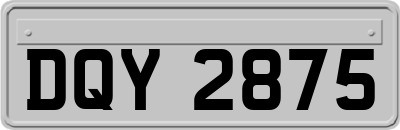 DQY2875