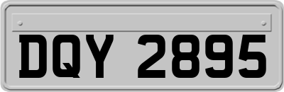 DQY2895