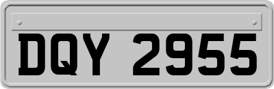 DQY2955