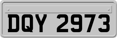 DQY2973