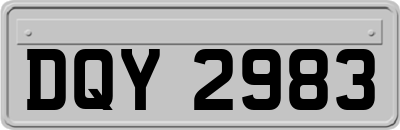 DQY2983