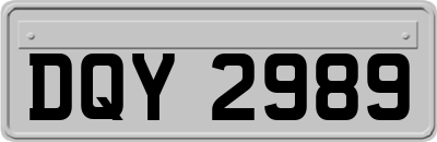 DQY2989