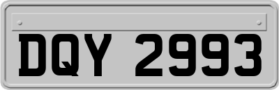 DQY2993