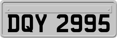 DQY2995