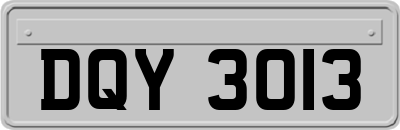 DQY3013