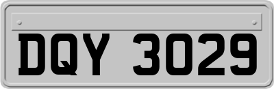 DQY3029