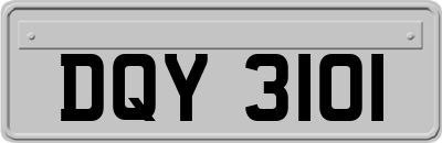 DQY3101