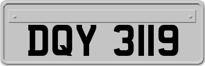 DQY3119