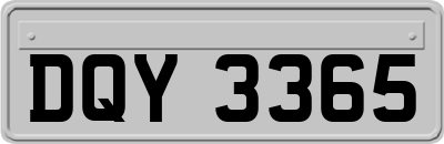 DQY3365