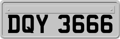 DQY3666