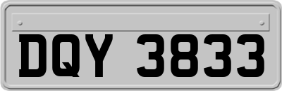 DQY3833