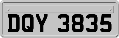DQY3835