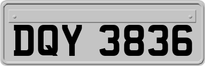 DQY3836