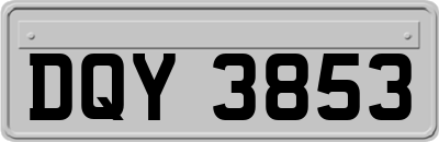 DQY3853