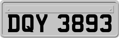 DQY3893