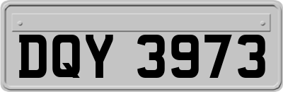 DQY3973