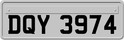 DQY3974