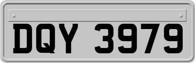 DQY3979