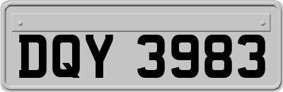 DQY3983