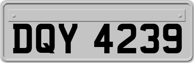 DQY4239